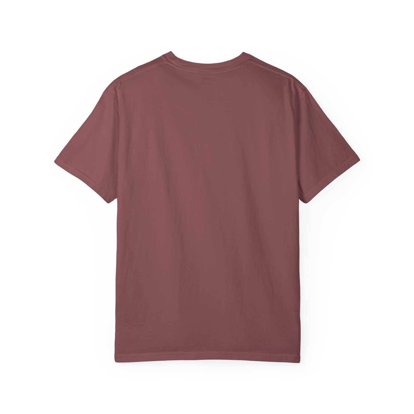 Paranormal Field Investigations T-Shirt