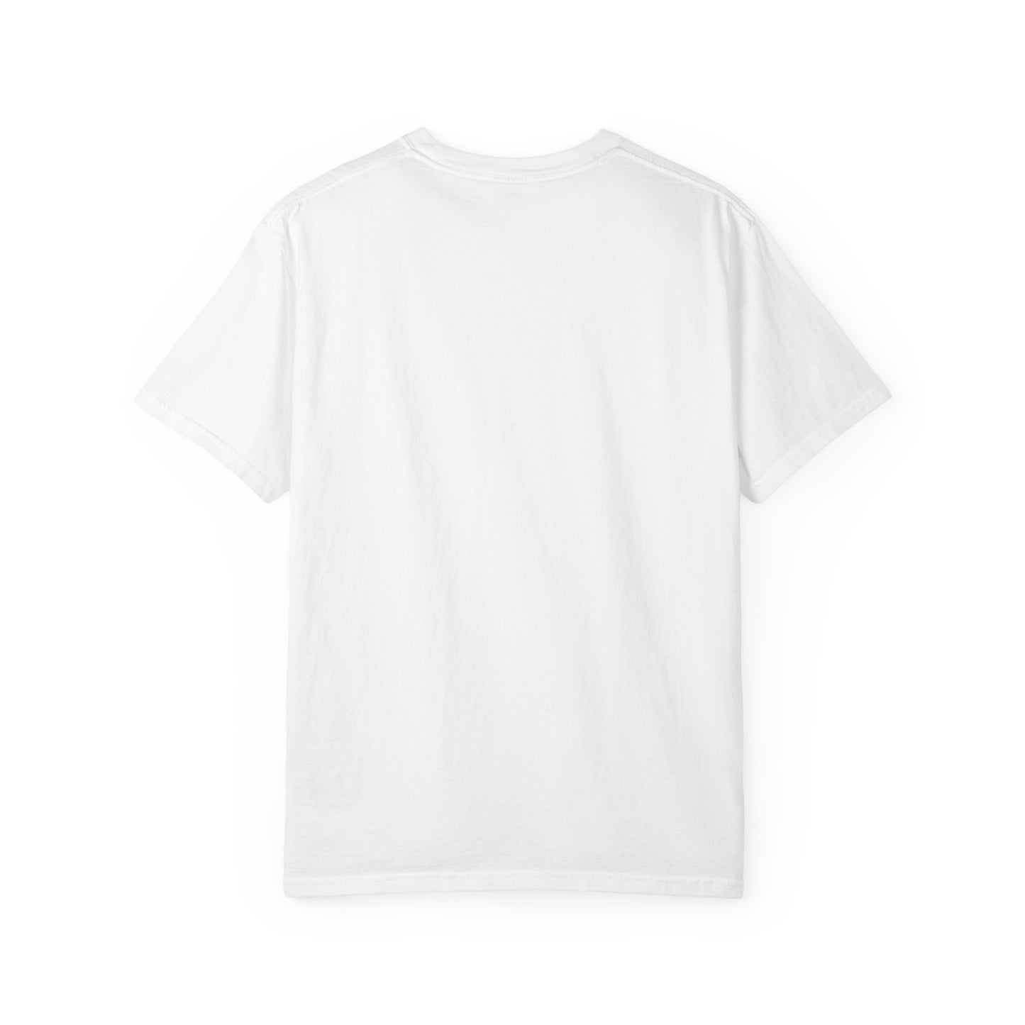 Paranormal Field Investigations T-Shirt