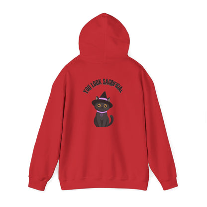 Witch Cat Hoodie – "You Look Purrrfect" Cute Black Cat Halloween Sweatshirt