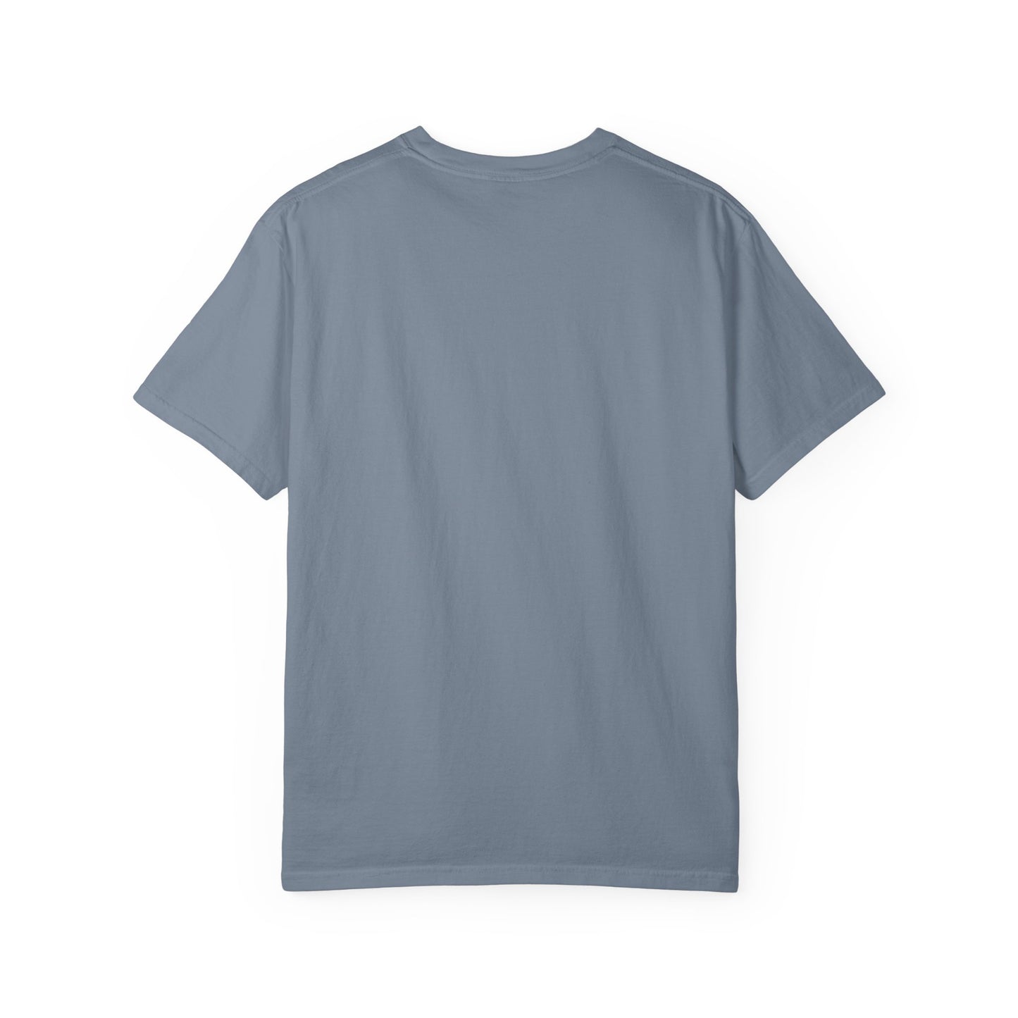 Paranormal Field Investigations T-Shirt