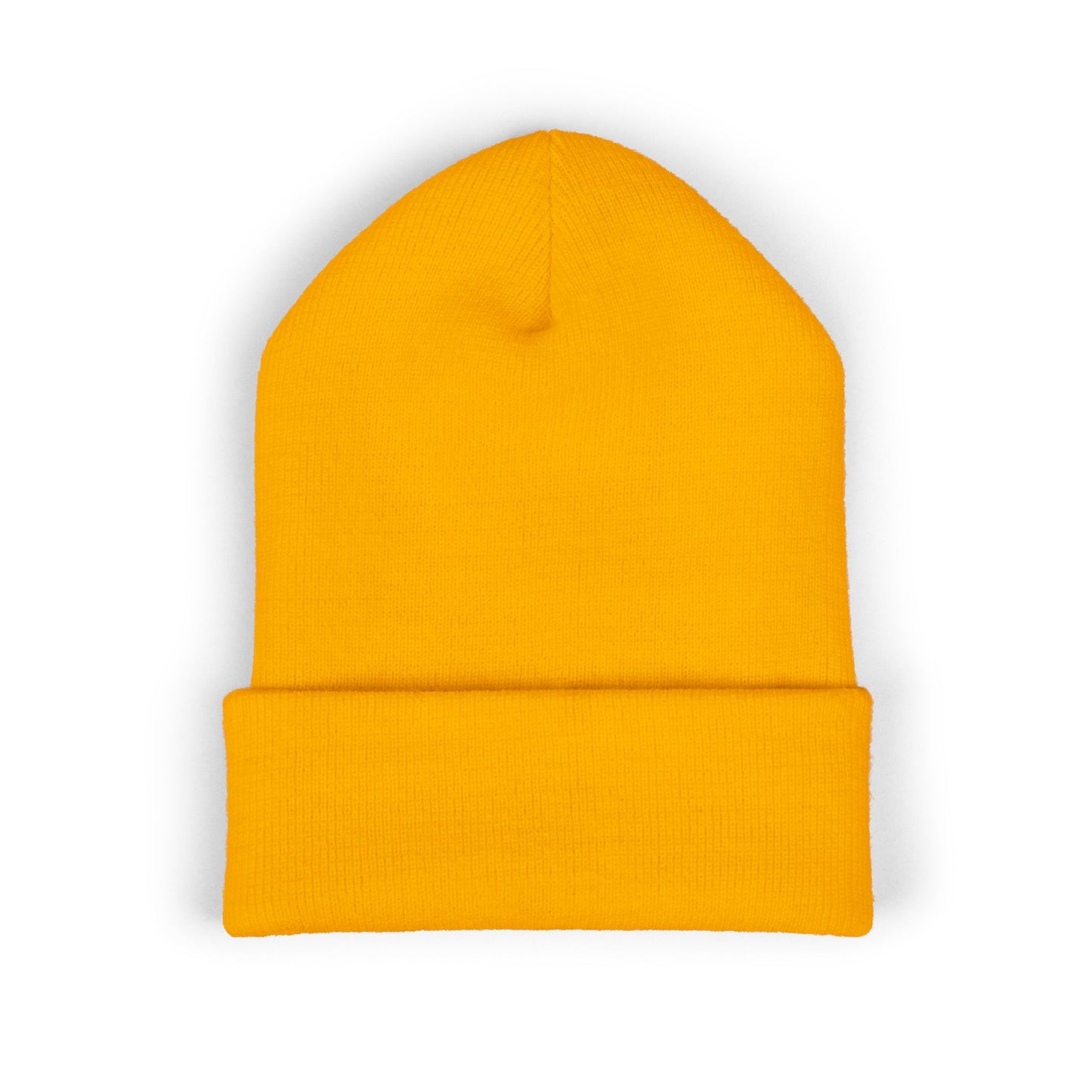 Paranormal Investigator Embroidered Beanie