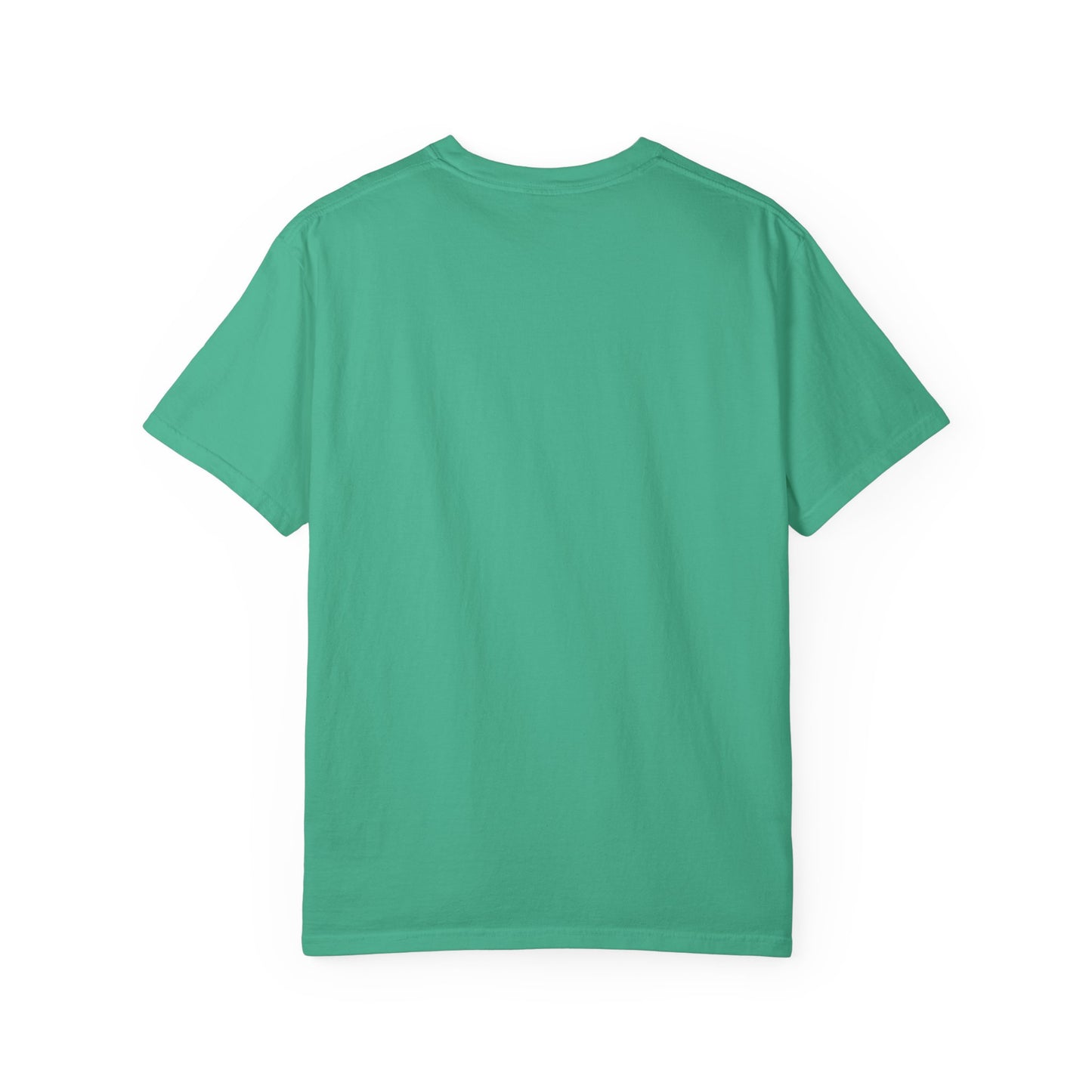 Paranormal Field Investigations T-Shirt